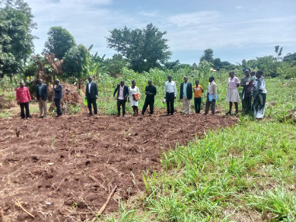 The Role of Agriculture in Sustainable Development.png